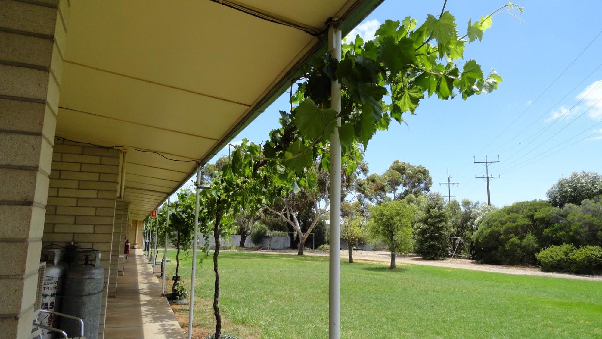 Murray Bridge Motor Inn Kültér fotó